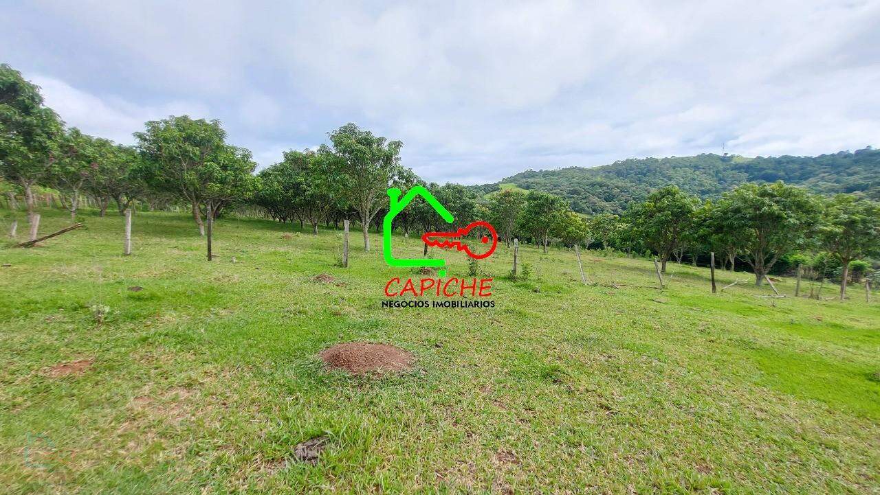 Sítio, 3 quartos, 4 hectares - Foto 24