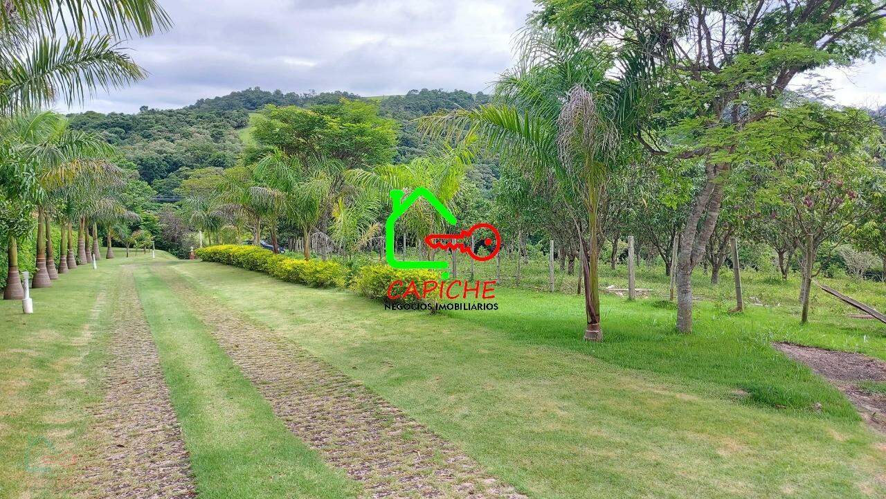 Sítio, 3 quartos, 4 hectares - Foto 31