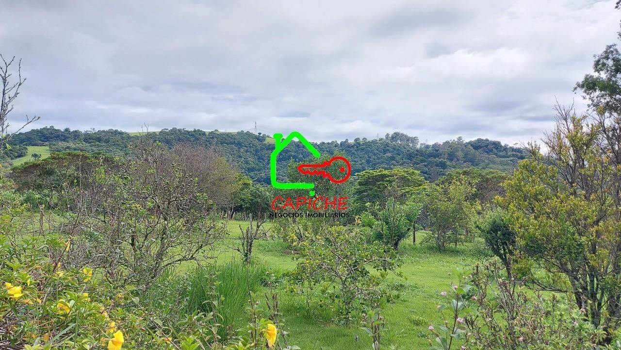 Sítio, 3 quartos, 4 hectares - Foto 28