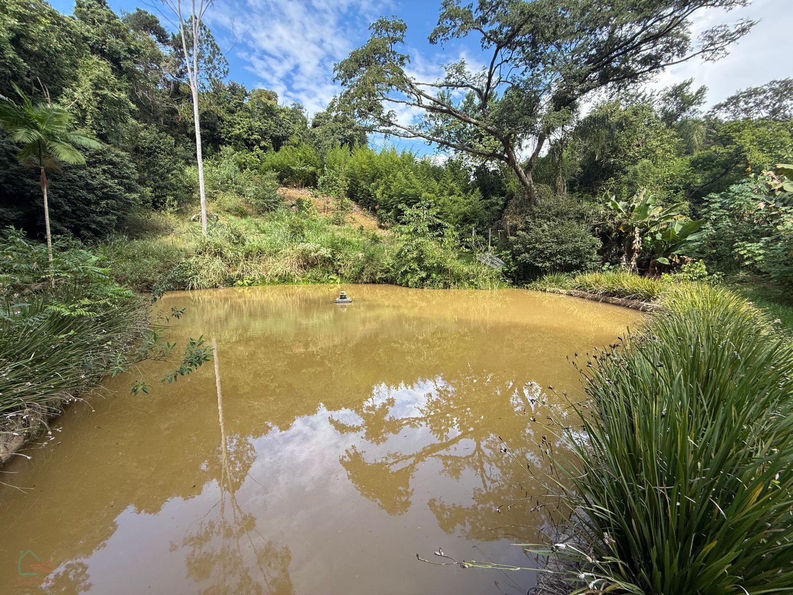 Chácara, 3 quartos, 10000 m² - Foto 12