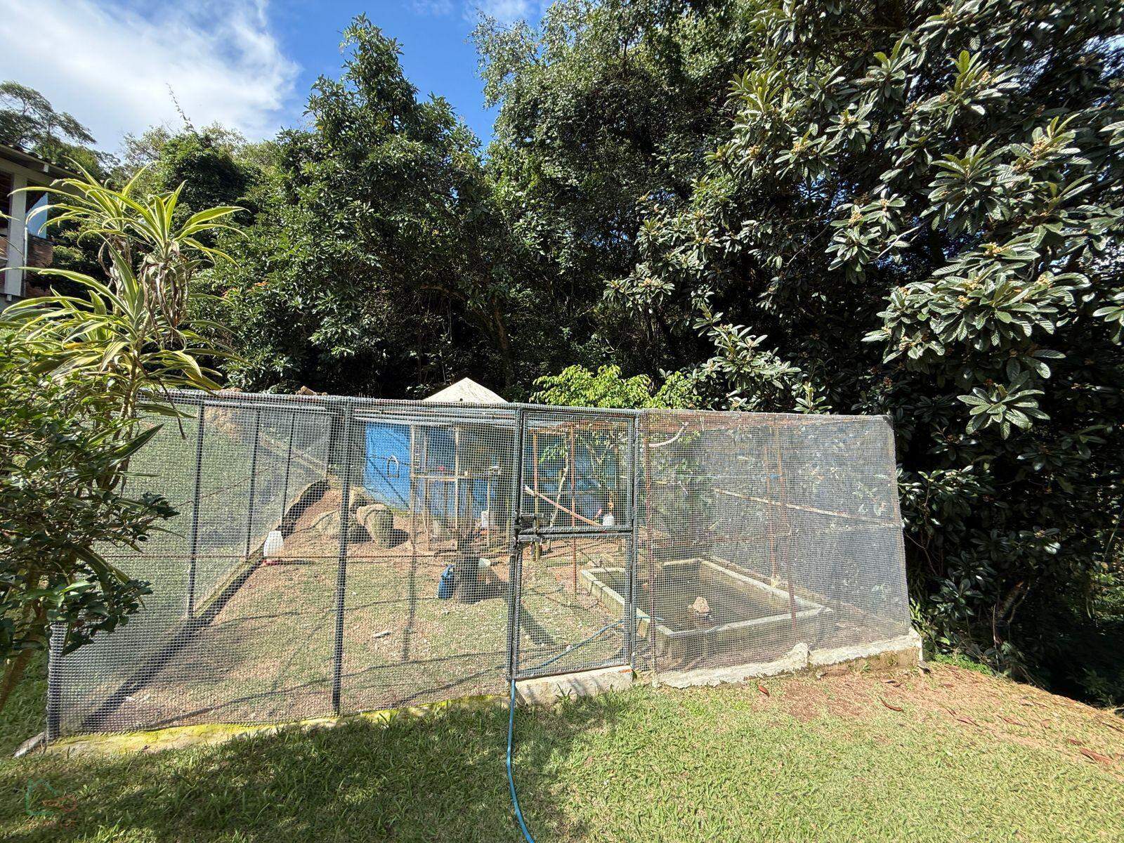 Chácara, 3 quartos, 10000 m² - Foto 16