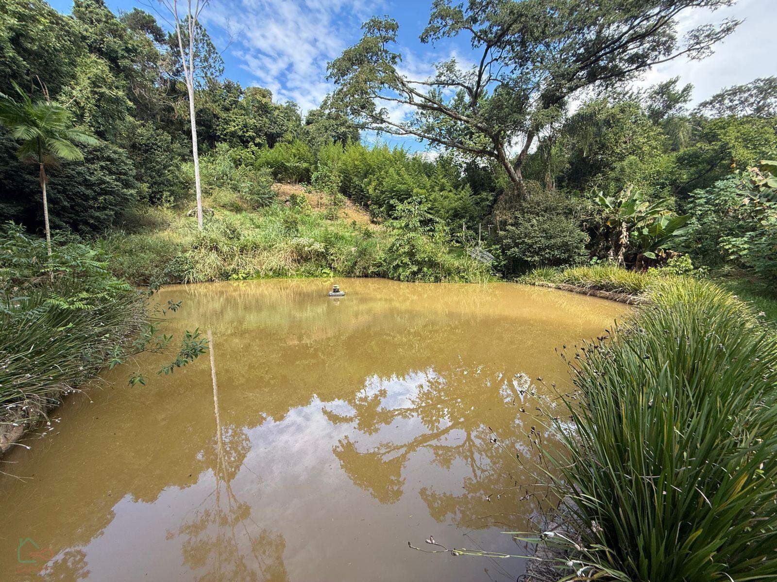 Chácara, 3 quartos, 10000 m² - Foto 12