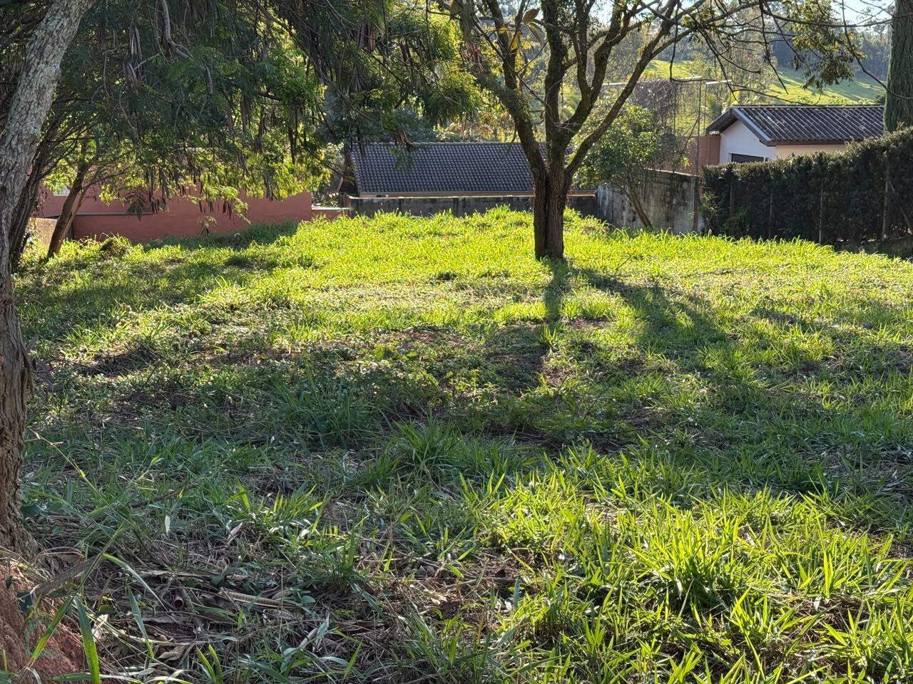 Terreno, 1000 m² - Foto 7