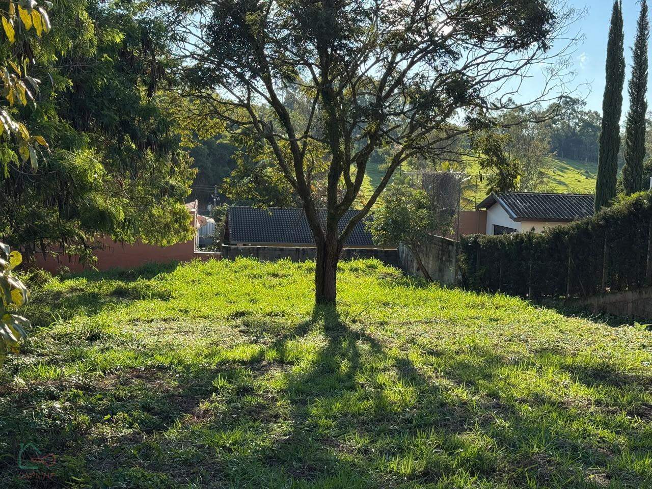 Terreno, 1000 m² - Foto 3