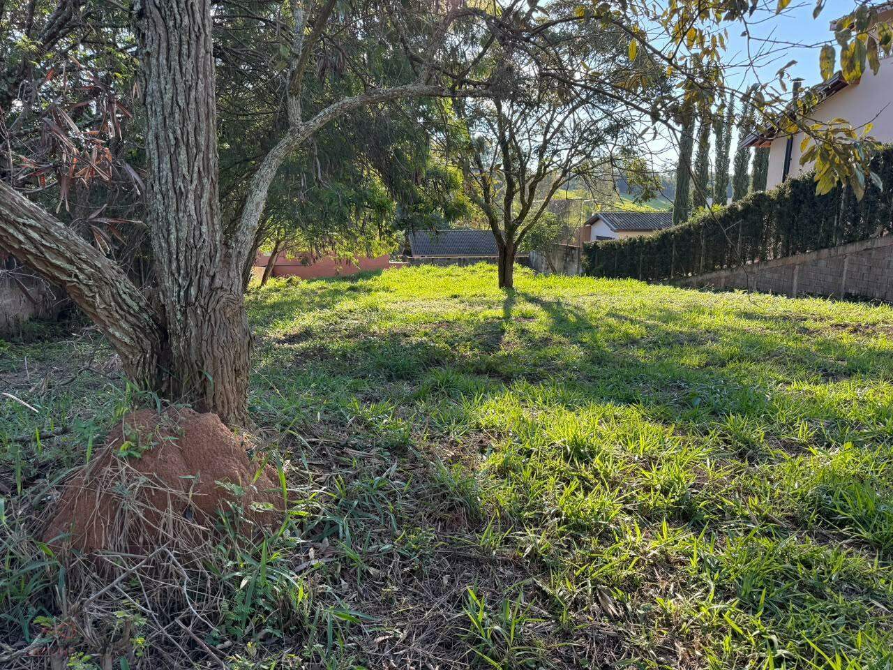 Terreno, 1000 m² - Foto 6