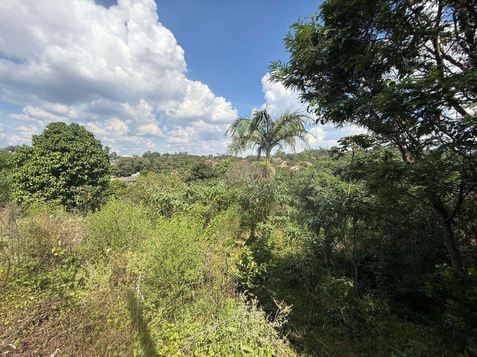 Chácara, 2 quartos, 3536 m² - Foto 2