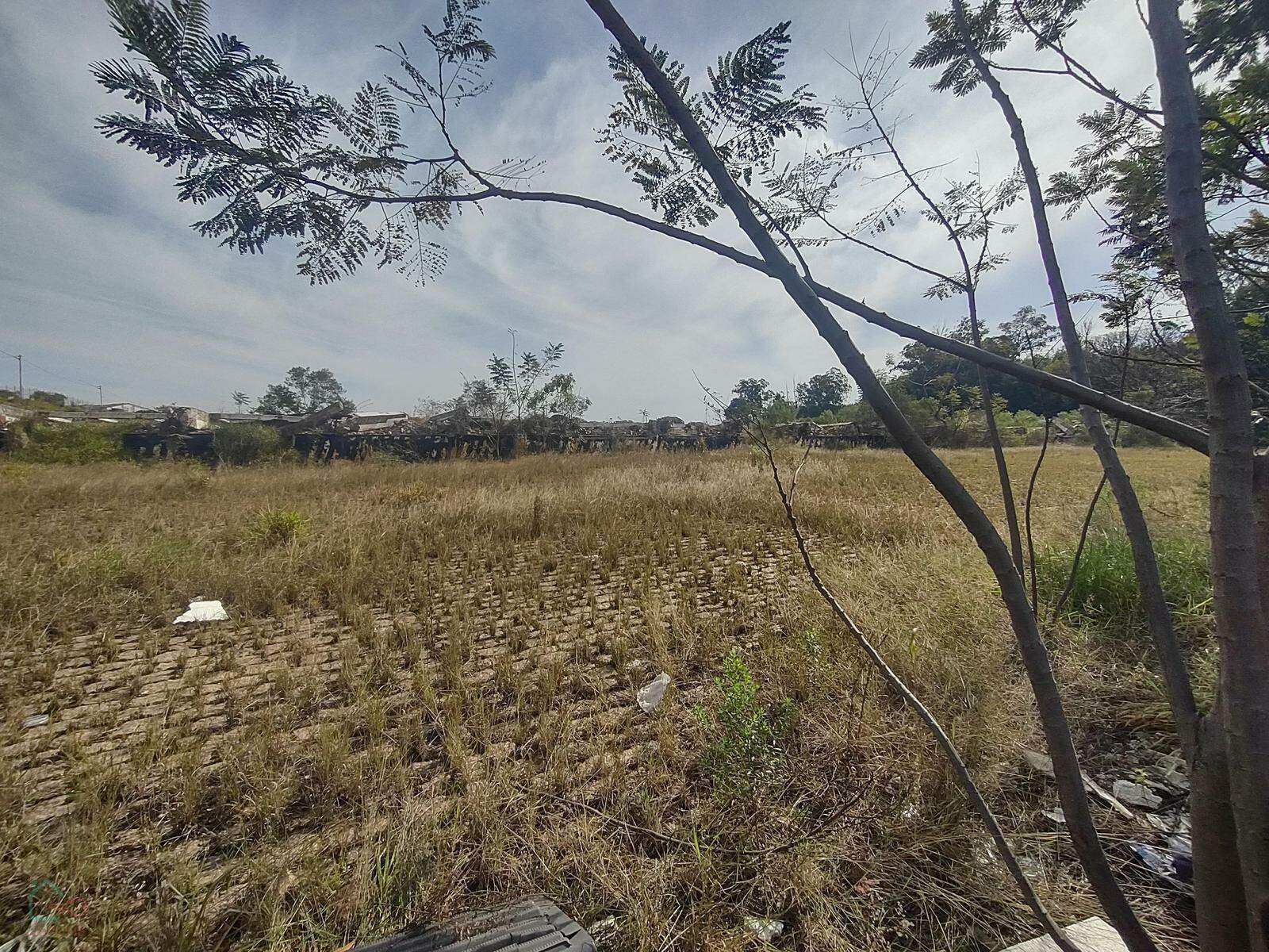 Terreno, 4 hectares - Foto 9