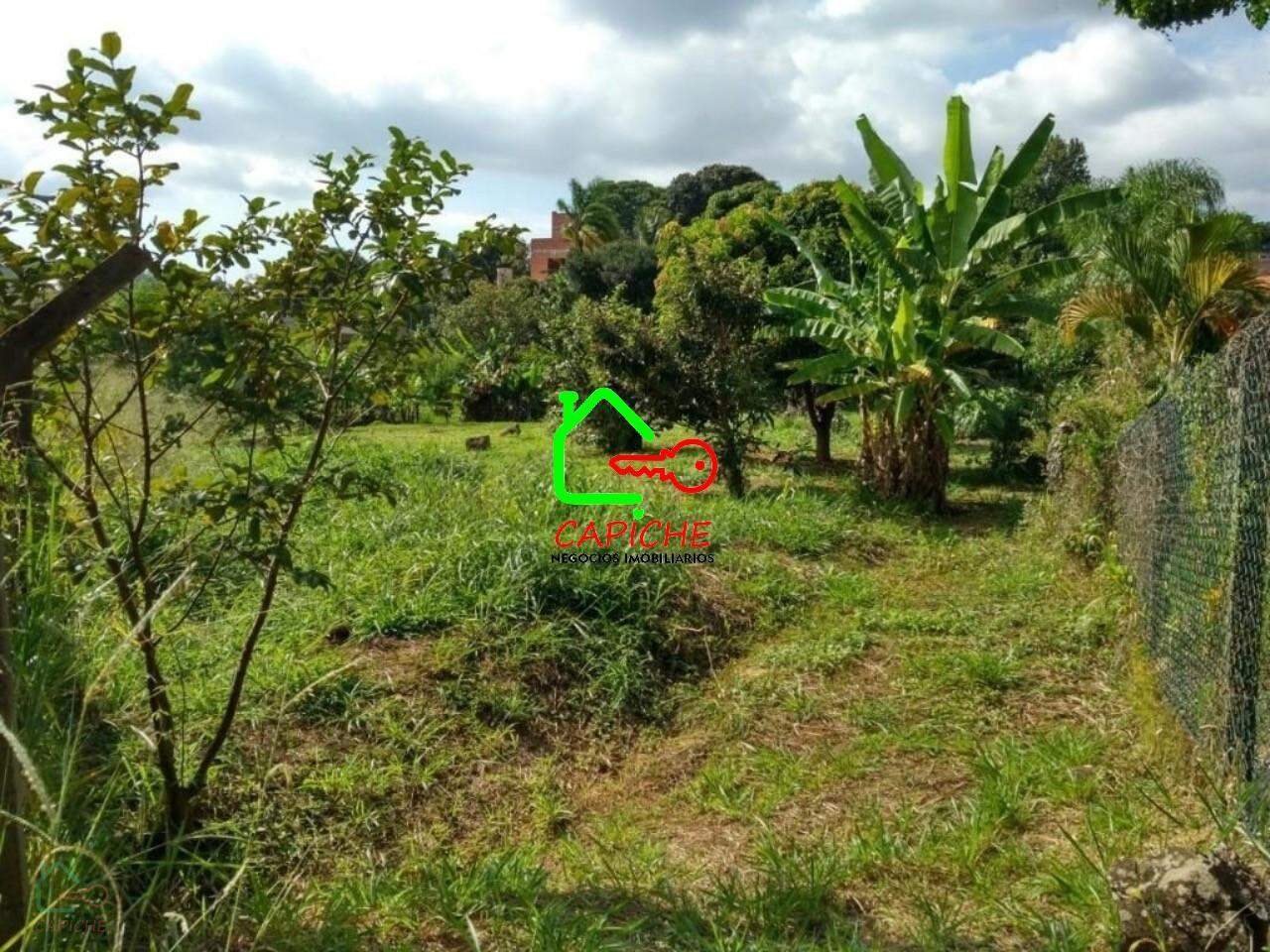 Terreno, 1000 m² - Foto 6