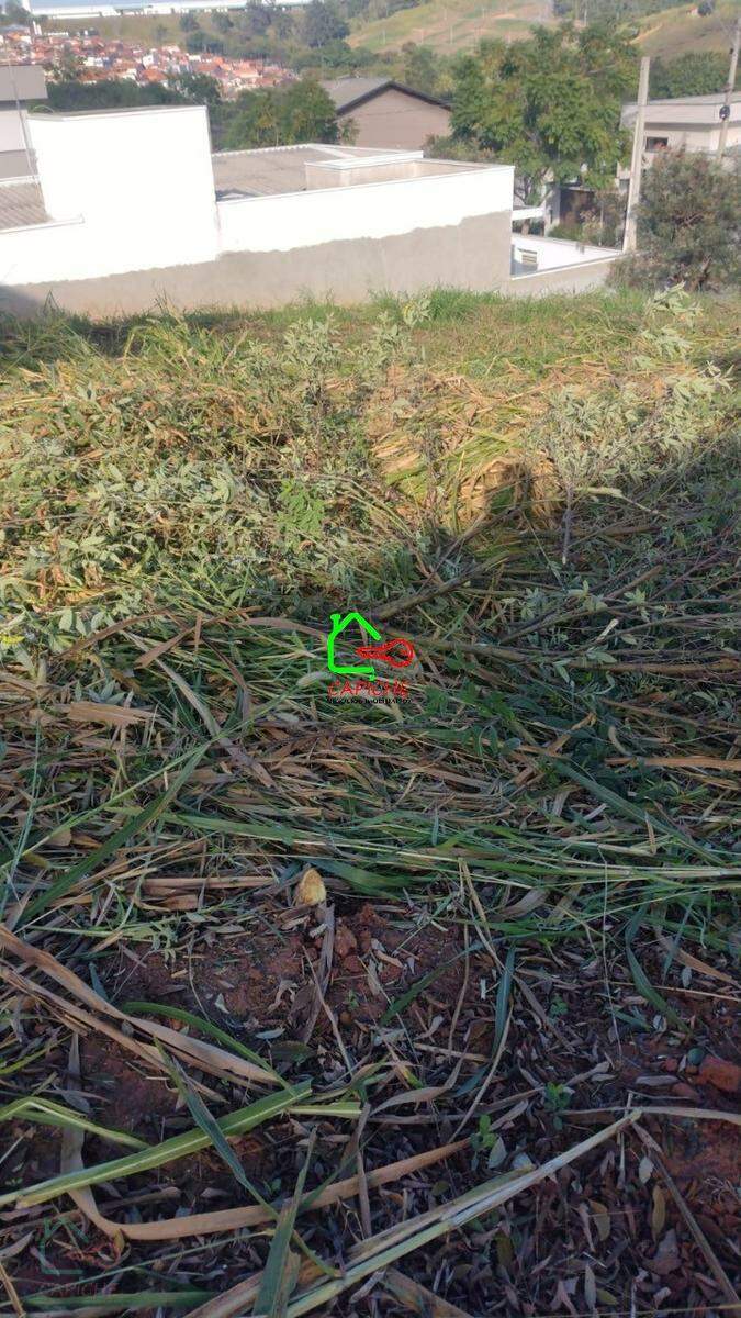 Terreno, 250 m² - Foto 5