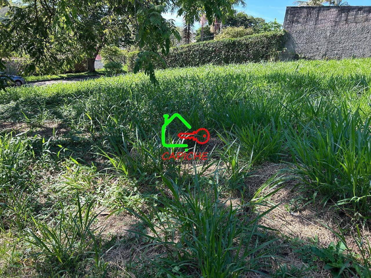 Terreno, 1000 m² - Foto 4