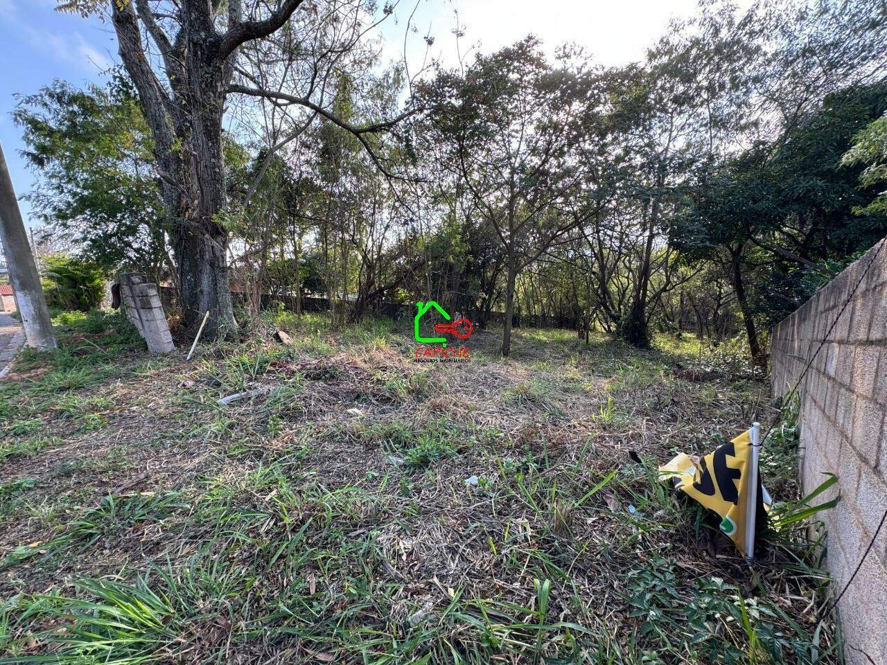 Terreno, 4580 m² - Foto 3