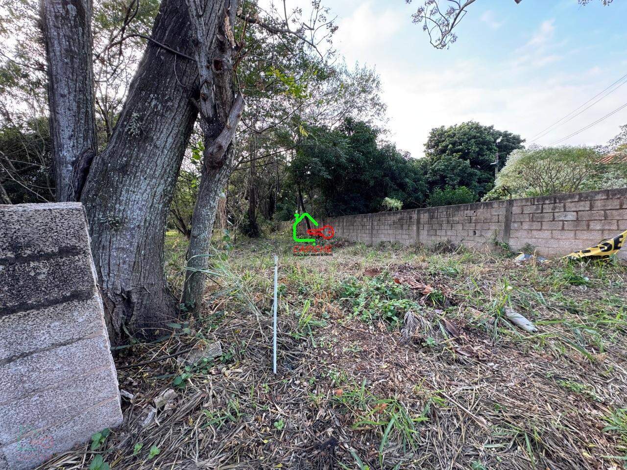 Terreno, 4580 m² - Foto 2