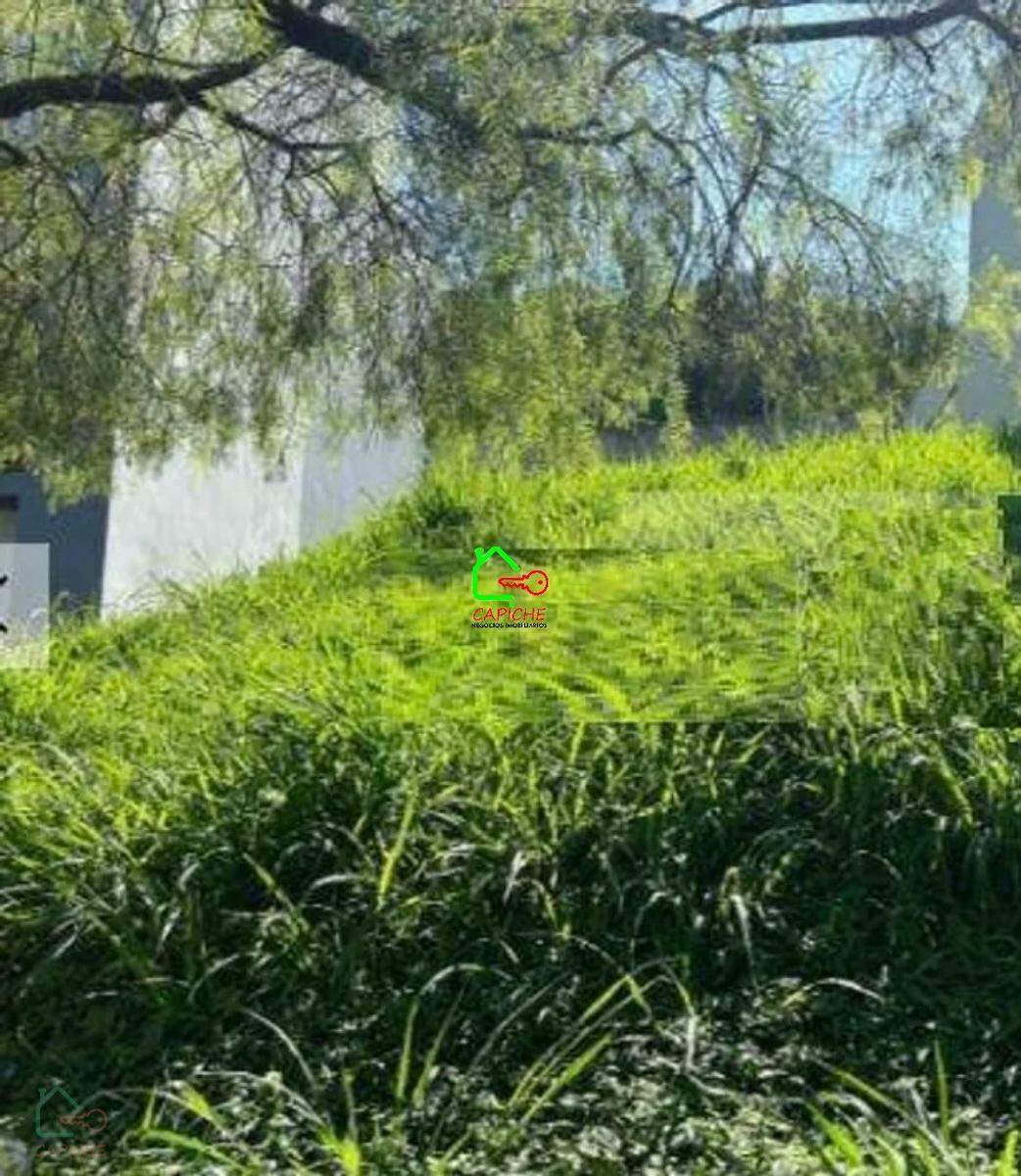 Terreno, 250 m² - Foto 3