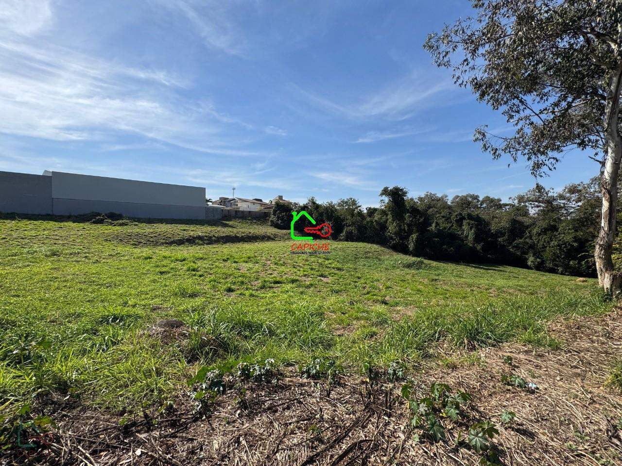 Terreno, 10000 m² - Foto 4