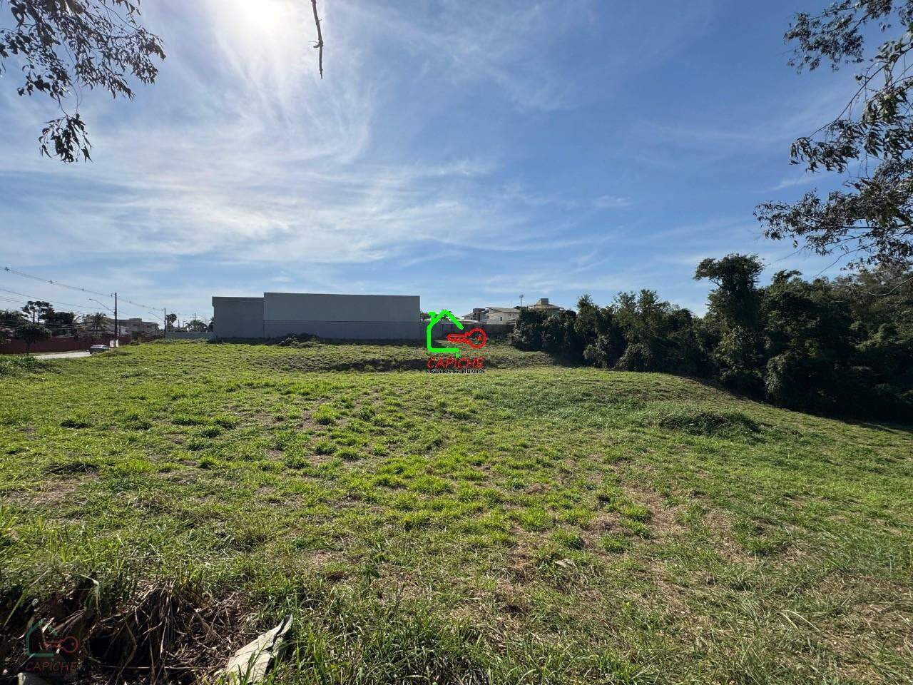 Terreno, 10000 m² - Foto 7