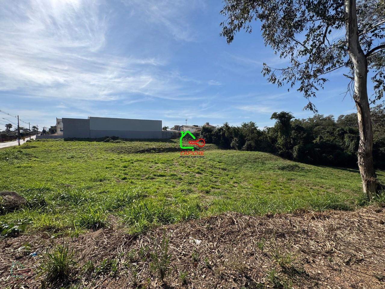 Terreno, 10000 m² - Foto 6