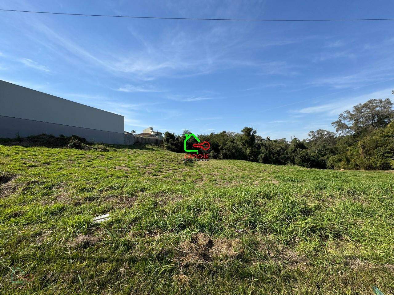 Terreno, 10000 m² - Foto 3