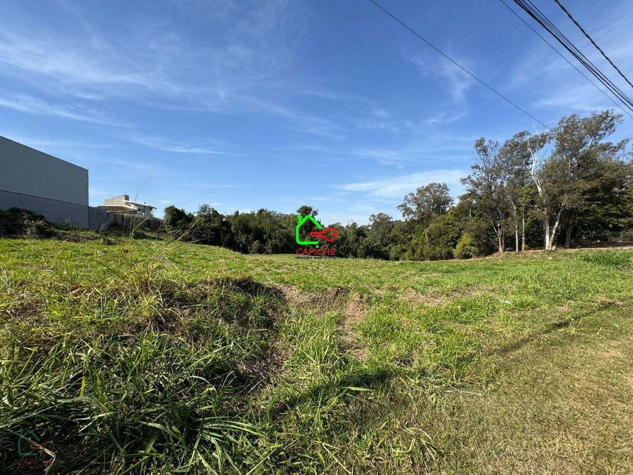 Terreno, 10000 m² - Foto 5