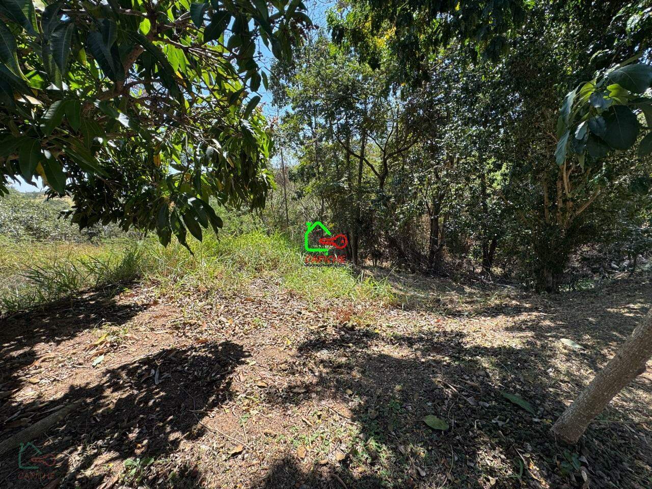 Terreno, 1027 m² - Foto 9