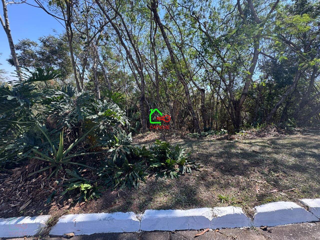 Terreno, 1027 m² - Foto 2