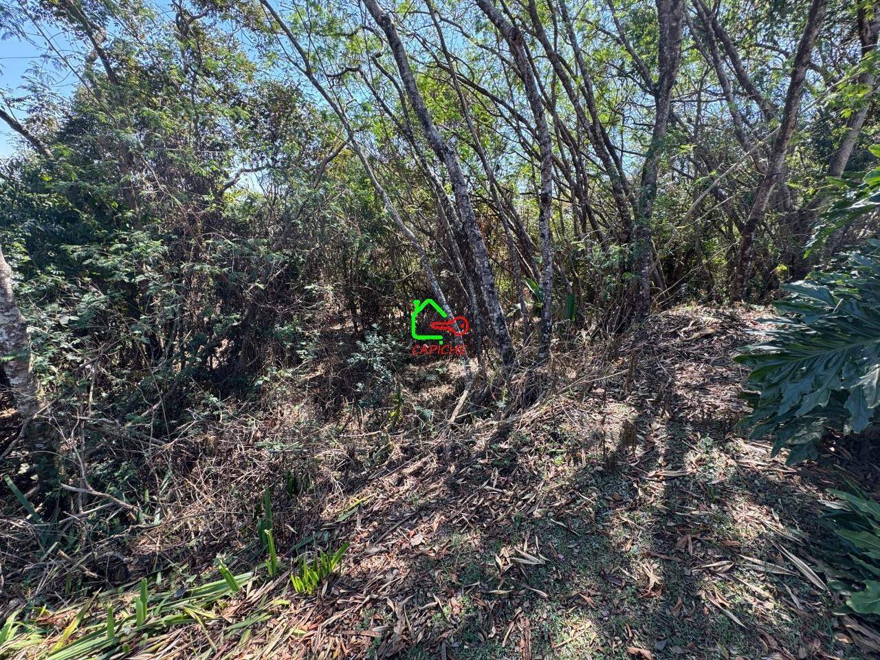 Terreno, 1027 m² - Foto 4