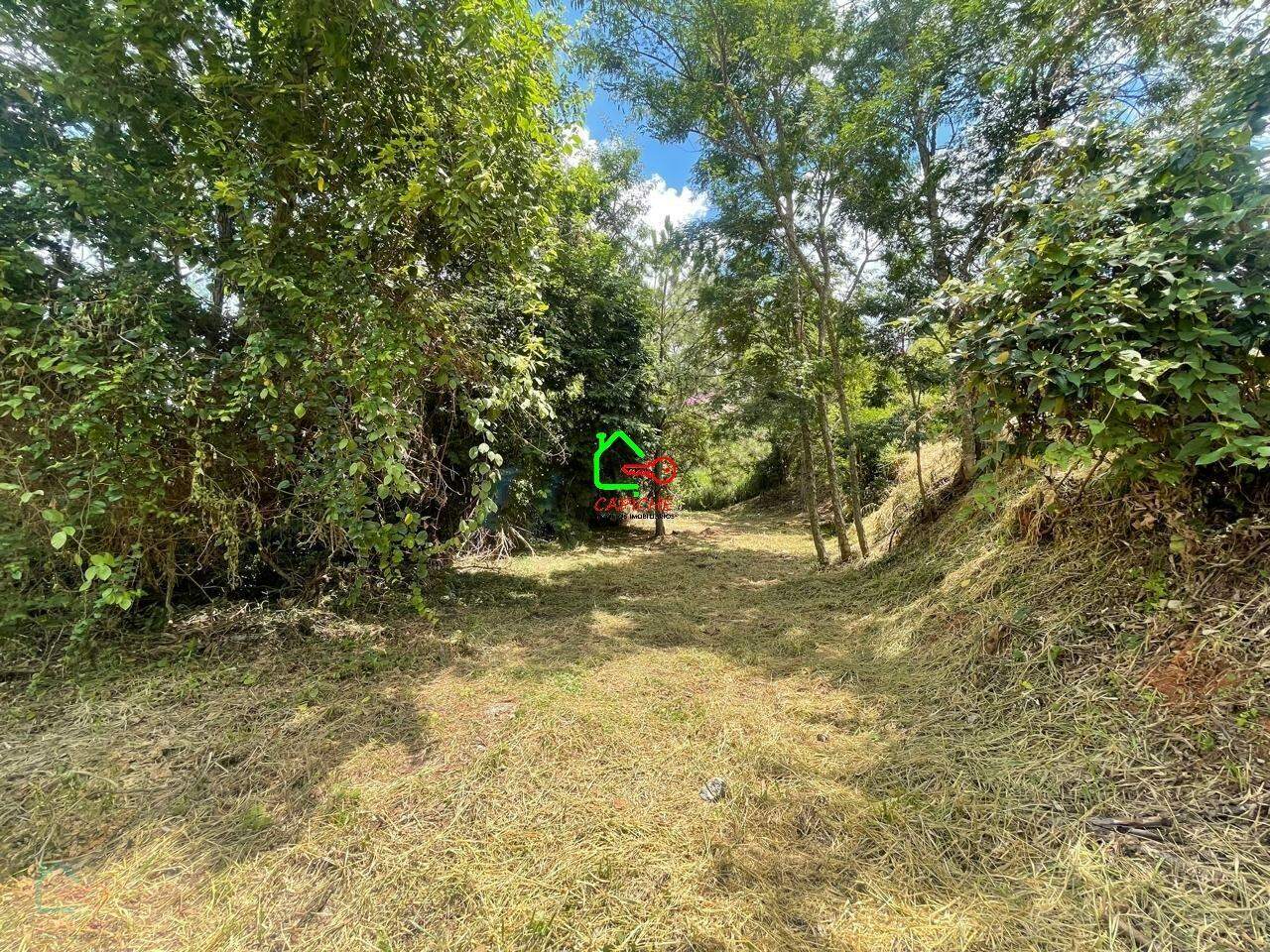 Terreno, 2096 m² - Foto 8