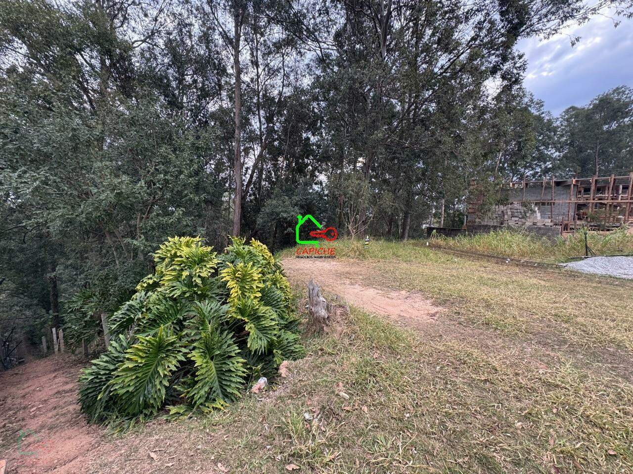 Terreno, 640 m² - Foto 5