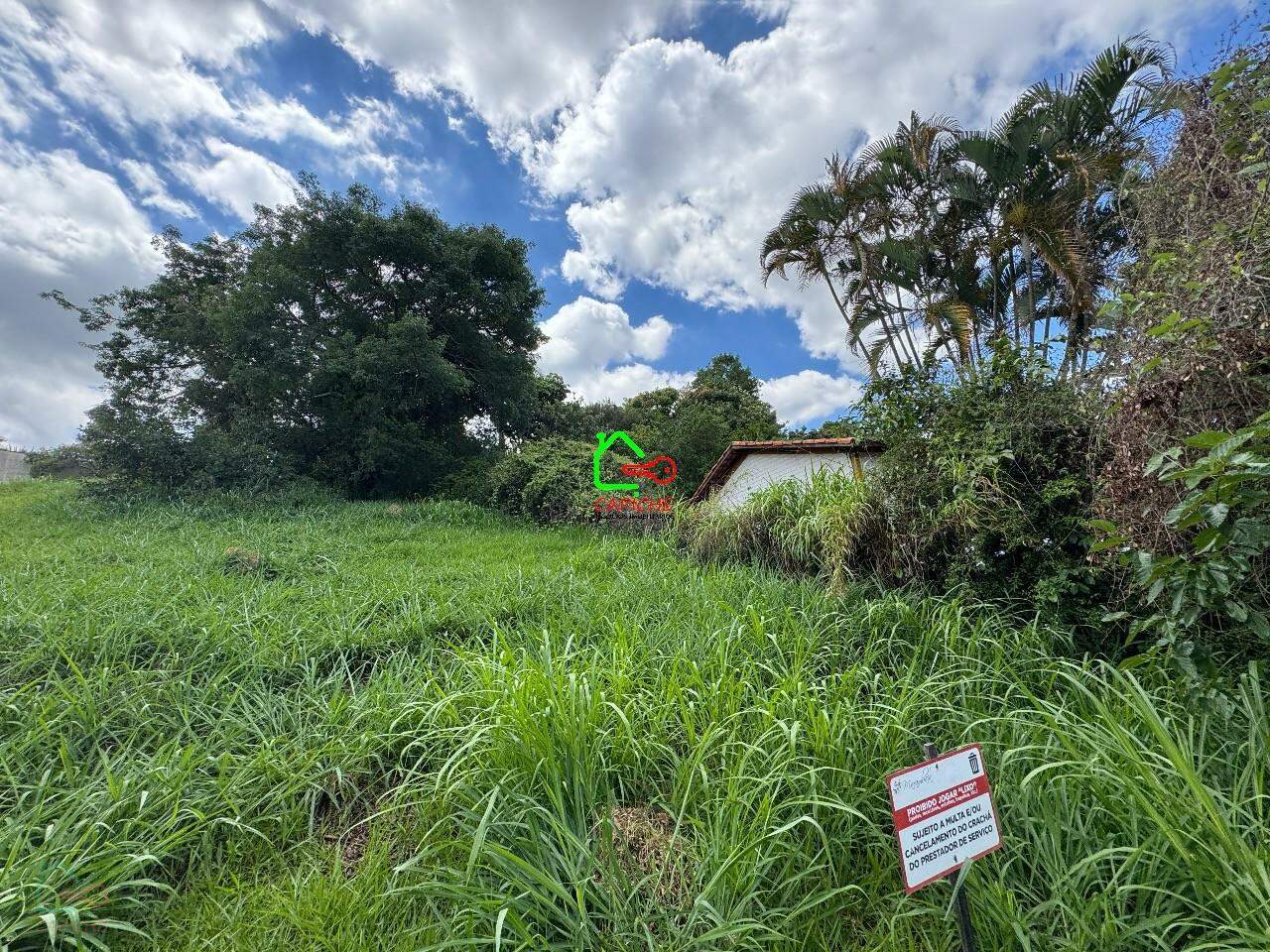 Terreno, 1073 m² - Foto 6