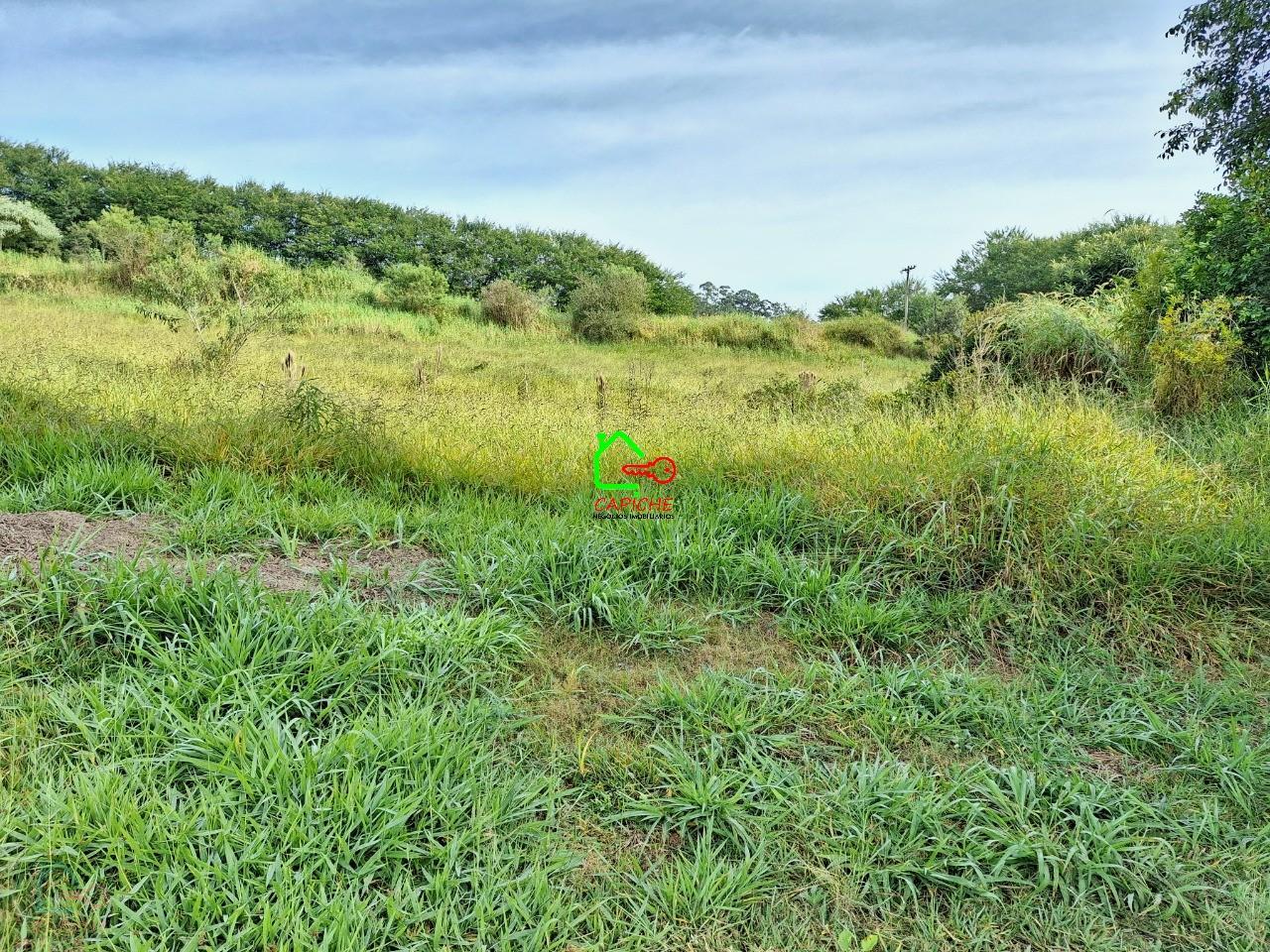 Terreno, 2 hectares - Foto 7