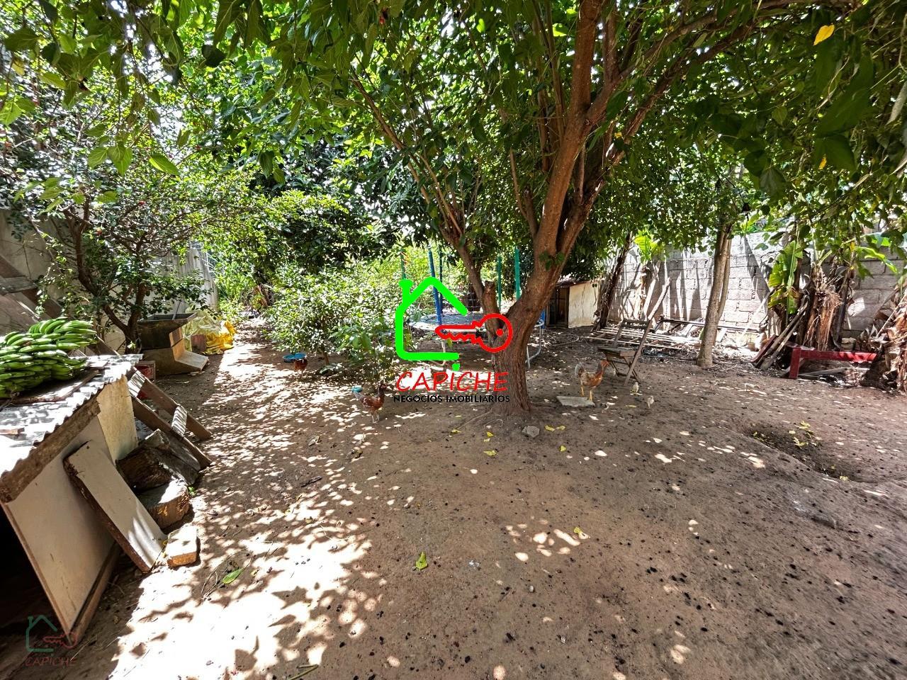 Terreno, 250 m² - Foto 3