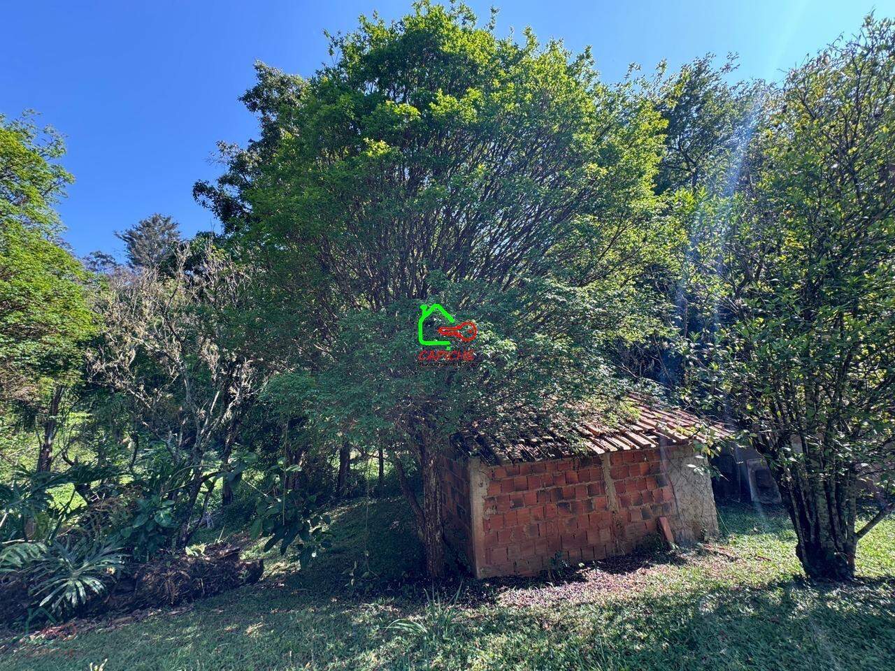 Sítio, 3 quartos, 2 hectares - Foto 20