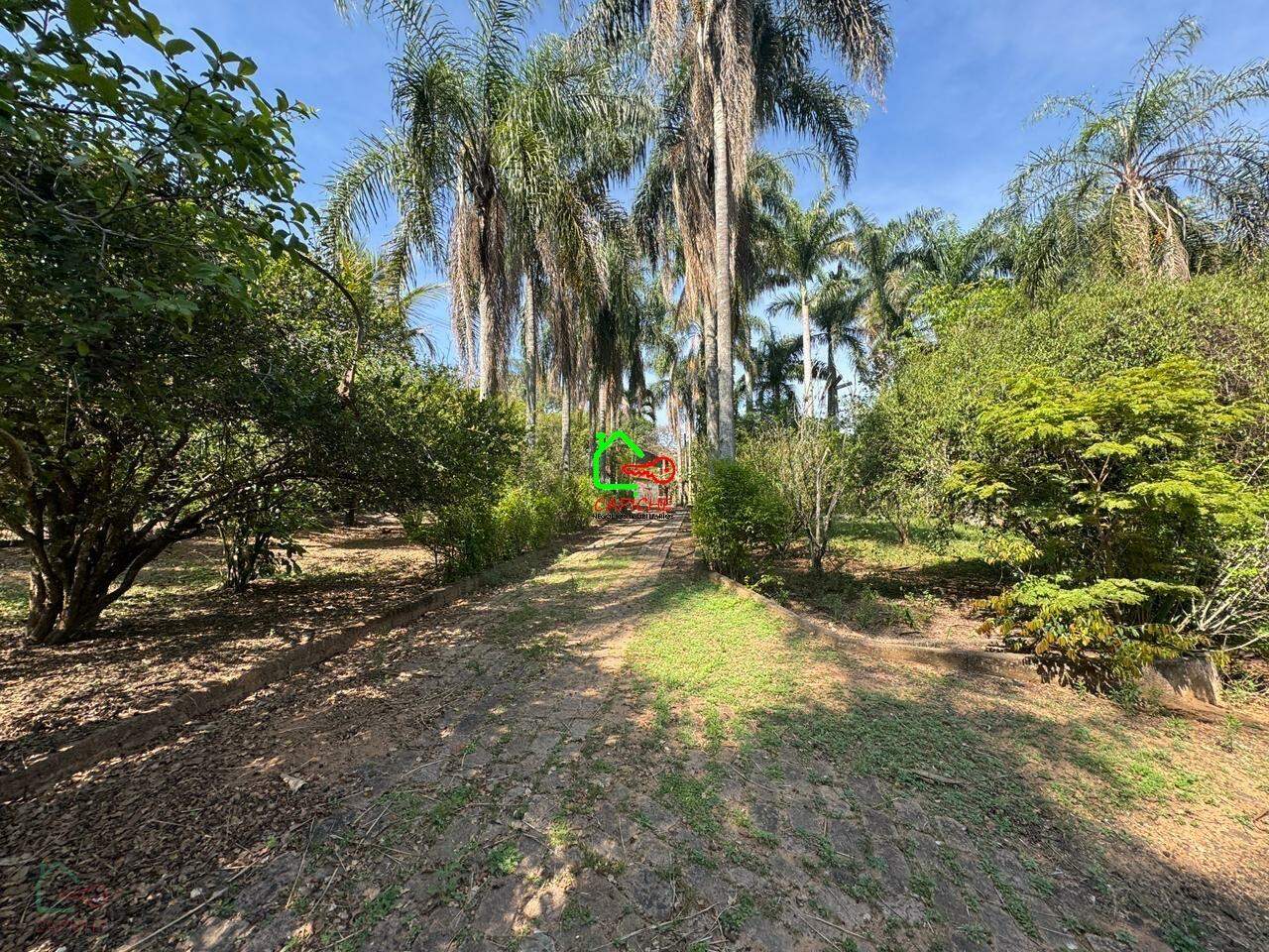 Sítio, 3 quartos, 2 hectares - Foto 14