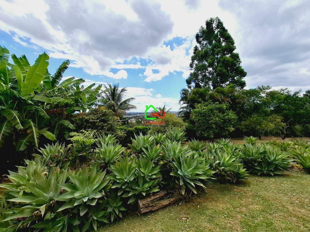 Chácara, 4 quartos, 3000 m² - Foto 6