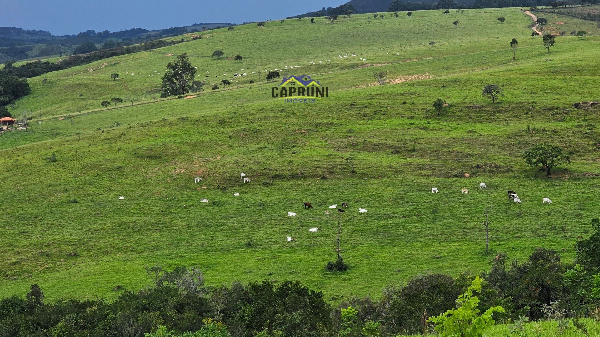 Fazenda à venda no Jacarandira: 