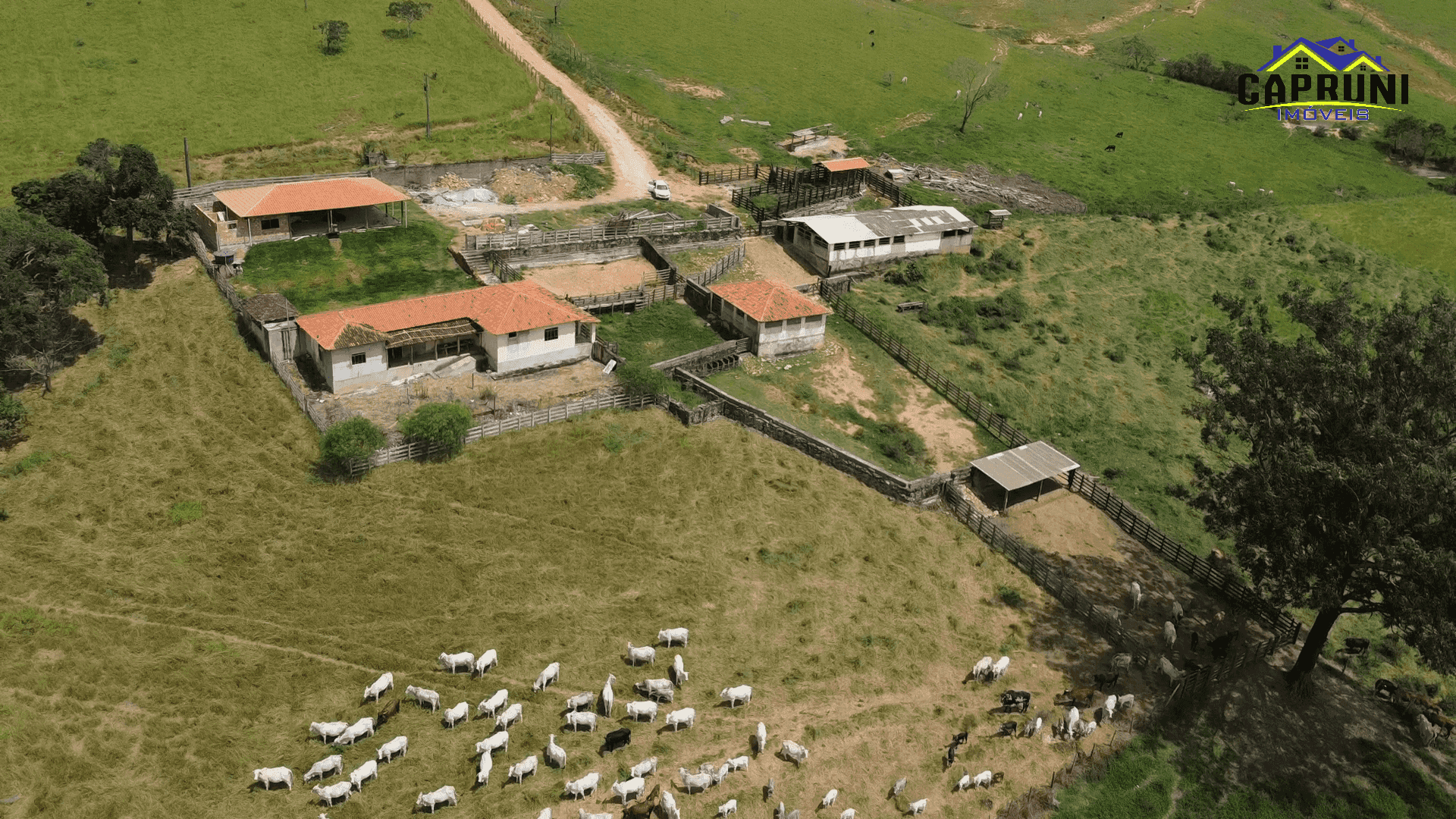 Fazenda à venda no Jacarandira: 