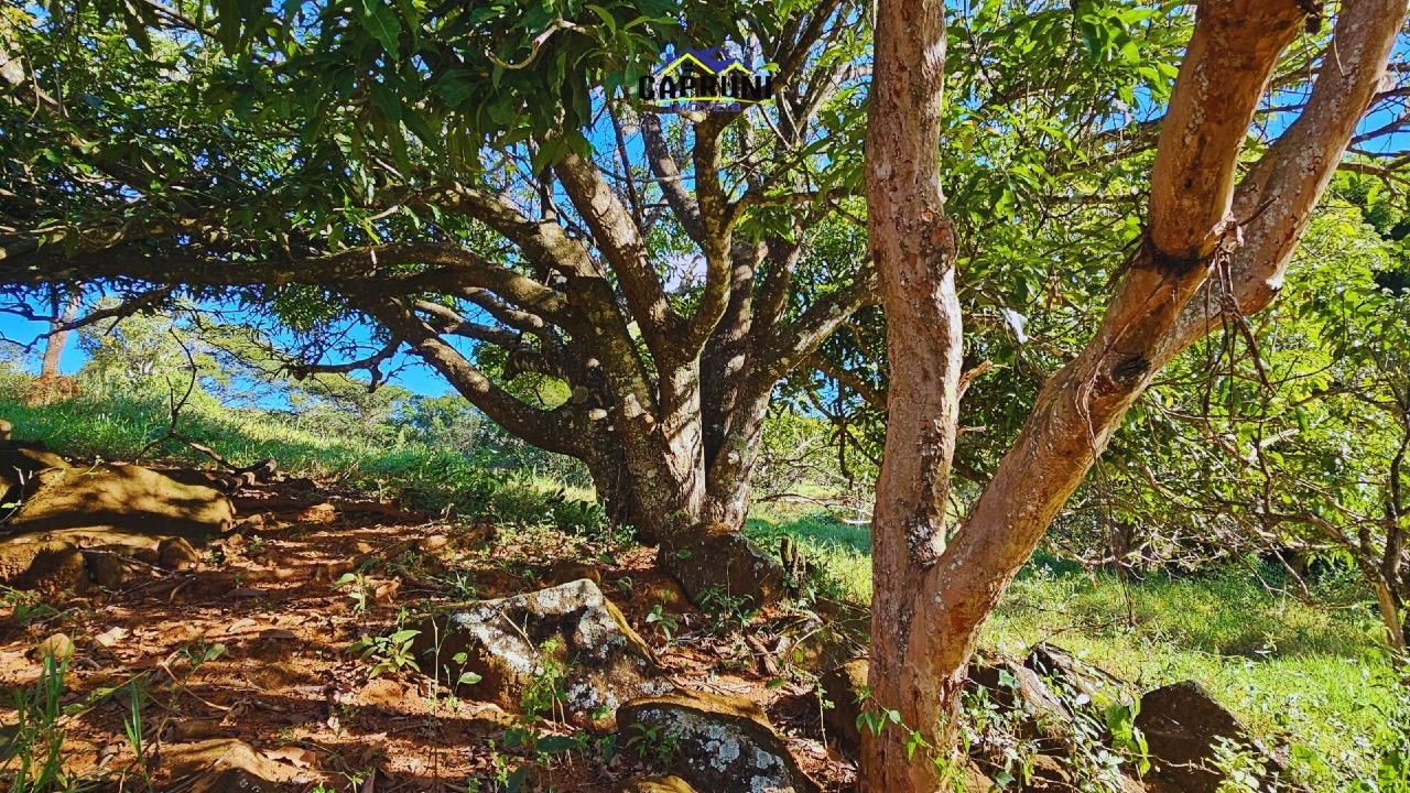 Terreno à venda no Bom Jardim das Pedras: 