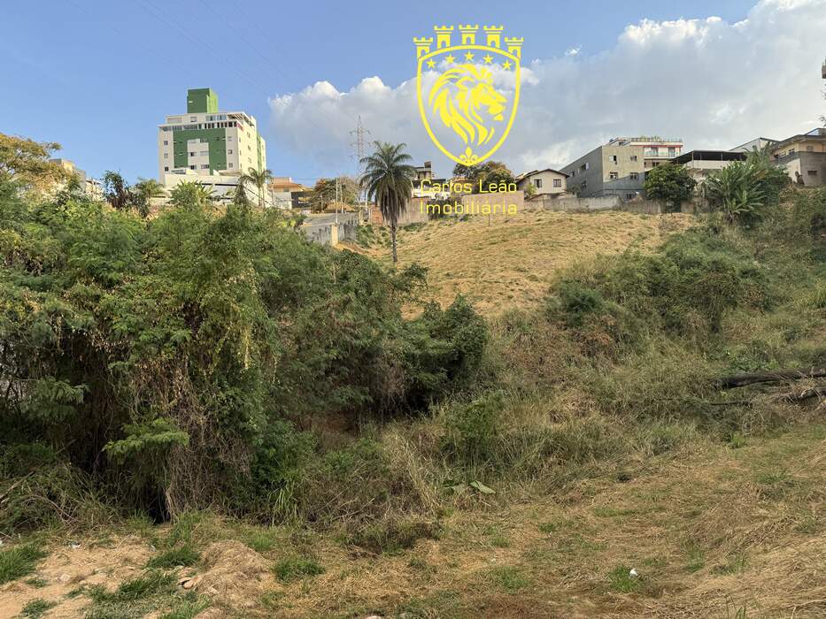 Terreno, 3002 m² - Foto 5