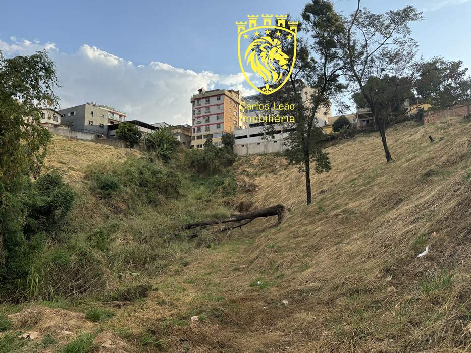 Terreno, 3002 m² - Foto 9