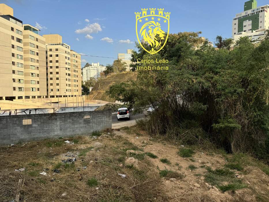 Terreno, 3002 m² - Foto 2