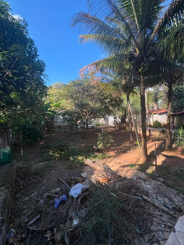 Casa, 4 quartos, 1173 m² - Foto 7