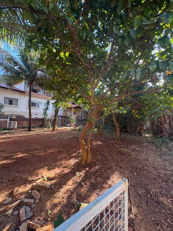 Casa, 4 quartos, 1173 m² - Foto 5