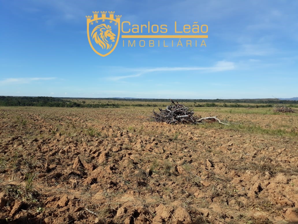 Terreno, 2600 hectares - Foto 4