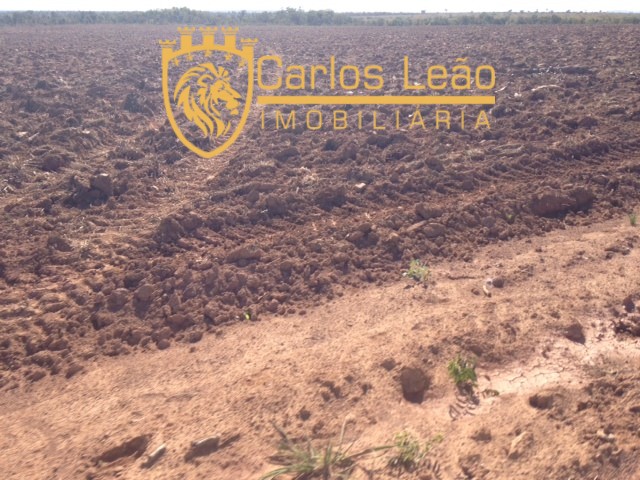 Terreno, 2600 hectares - Foto 7