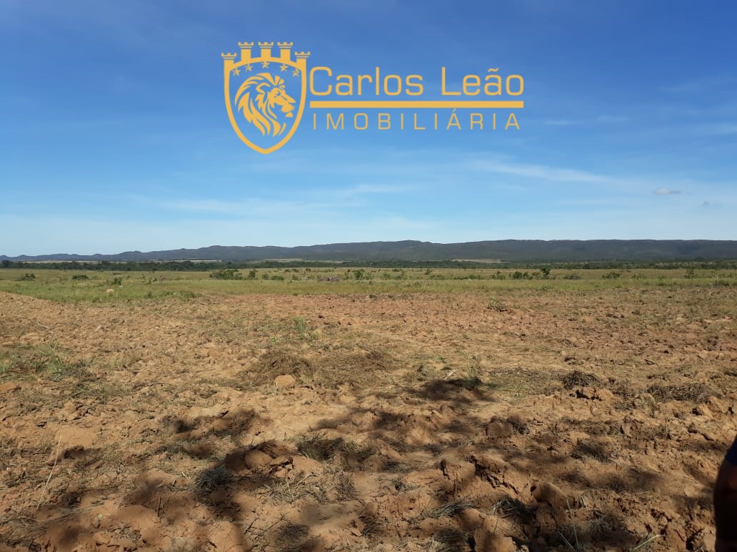 Terreno, 2600 hectares - Foto 3