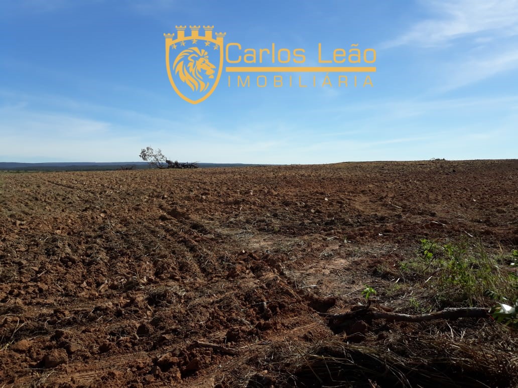 Terreno, 2600 hectares - Foto 2