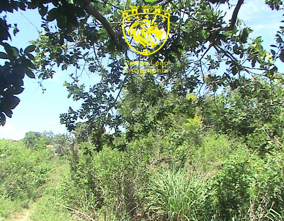 Terreno à venda, 6000m² - Foto 25