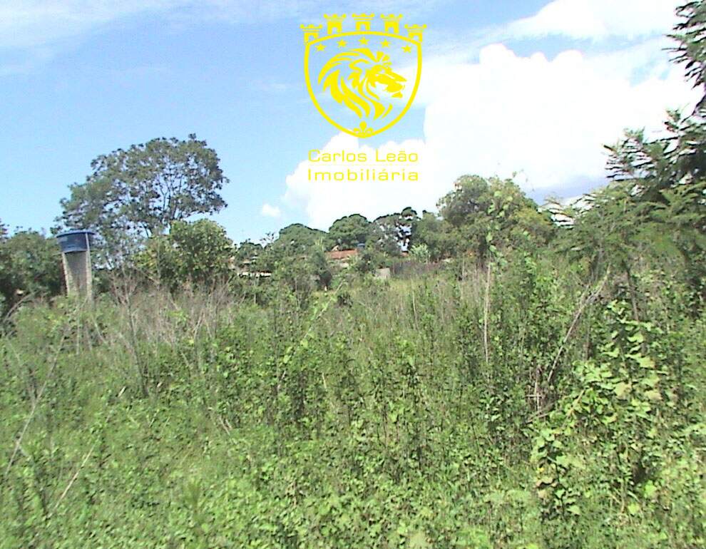Terreno à venda, 6000m² - Foto 24