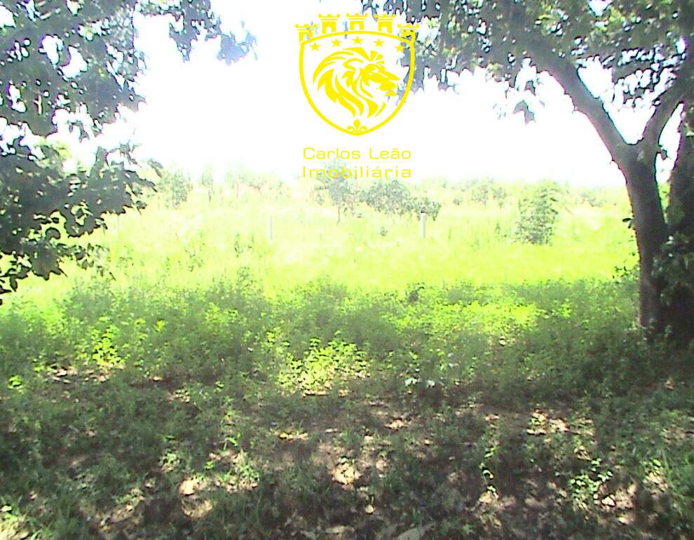 Terreno à venda, 6000m² - Foto 22