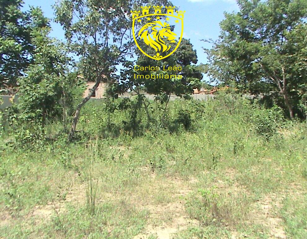 Terreno à venda, 6000m² - Foto 15