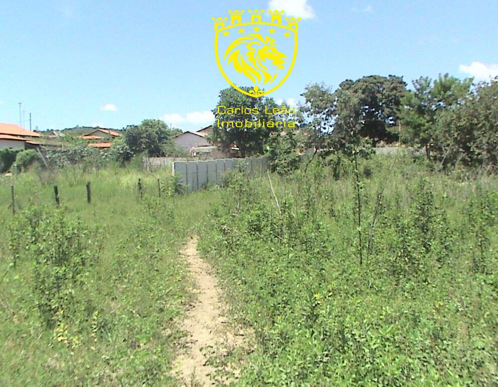 Terreno à venda, 6000m² - Foto 12
